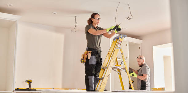 Best Electric Panel Repair  in Albion, NY